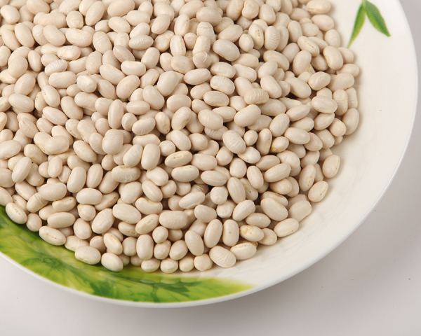 JAPANESE TYPE WHITE KIDNEY BEAN