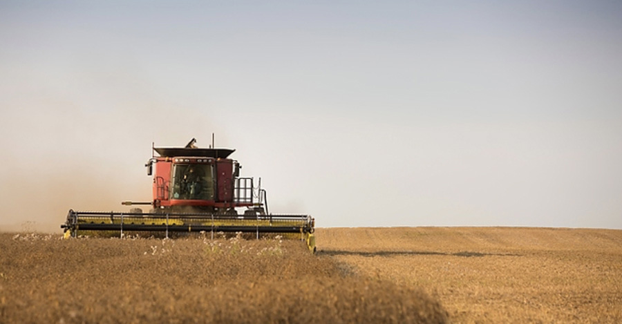 Canadian Pulse Growers Struggle to Wrap Up Harvest