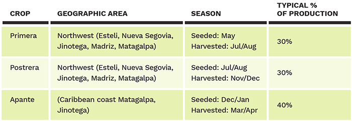 Impact of COVID-19 Pandemic on Central American Dry Bean Demand