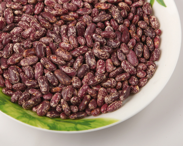 PURPLE SPECKLED KIDNEY BEAN