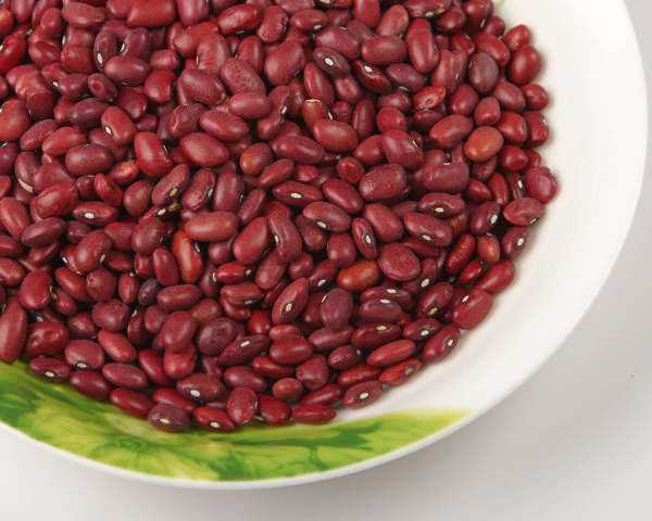 SMALL RED KIDNEY BEAN